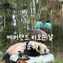 멍더랜드 | 에버랜드 사파리 비오는 날 방문한 후기 - 사파리 버스 왼쪽 앉으세요!
