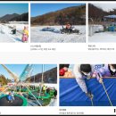 초리골협동조합 이미지