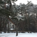 칠연식당 이미지