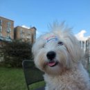 라루체365 이미지