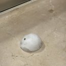 바리스타초급(화) | 이거 완전히 야르 아니냐