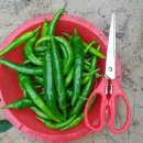 지열목장 이미지