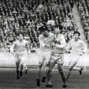 붉은악마 이미지