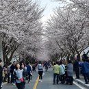 삼문인쇄