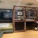 로운 뉴코아인천논현점