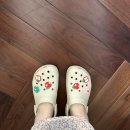 다대스파 이미지