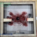 강남체육관 이미지