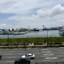 세끼모토