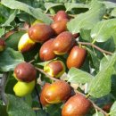 물안골농장 이미지