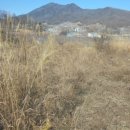 한벌1리 이미지