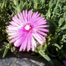 한화사택 이미지