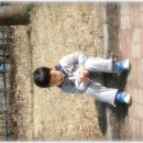 예은상사 Daum카페