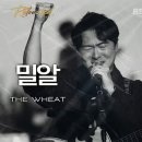 위(we) 이미지