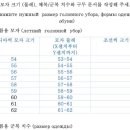 한글 이미지