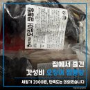 밀담푸릇 - 화성시 동탄순환대로10길 88 | "오징어가 한가득" 밀담푸릇 형기네 해물짬뽕탕, 가성비 밀키트 후기