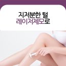 광주레이저제모 개인적인 털의 양과 굵기 다르기에 이미지