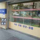 고Dog 이미지