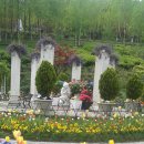 피나클랜드 이미지