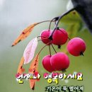 윤태화 광주김치축제 공연 &amp;뉴스 이미지