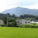남충장공충신문 이미지