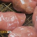 평창진이네오미자농장