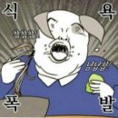 벌써12월