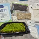 웰니스앤스파연구원