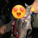 군산 장자도 🎣 낚시배 크루즈호 야간캐스팅게임 후기! 우럭 미친 손맛 제대로 느끼다🐟 초보 낚시입문 추천
