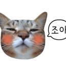 달다곰이NC논현점