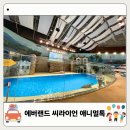 씨스페이스 동두천중앙점 | 용인처인구놀거리 에버랜드 동물원 씨라이언 애니멀톡 시간 관람 후기