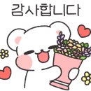 젠틀베어 이미지