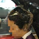 헤어도도(DODO) 이미지