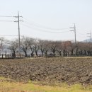 은석초등학교 병설유치원 이미지