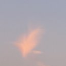 태양이용원 이미지