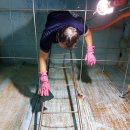 장수서창동-2 이미지