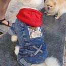 미미하우스 이미지