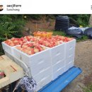 서대리농장 이미지