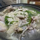 촌닭