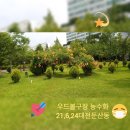 우드볼장 이미지