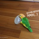 구름이네 까까 이미지