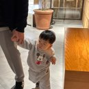 롯데프리미엄아울렛오가닉맘 이미지