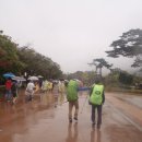 공룡모텔 이미지