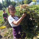 이영철농장 이미지