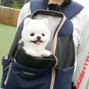 제이와이소프트 이미지