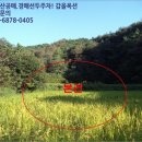 수지면 등동마을 이미지