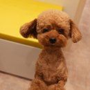 사랑가득한유치원 이미지