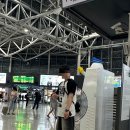 해피몽스데이 이미지