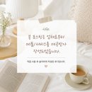 유환 | 황금쾌변 차전자피 식이섬유환 솔직후기｜가성비 좋은 장건강 관리템 추천
