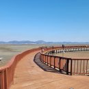 무안황토갯벌랜드 이미지