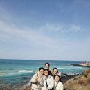 제주봄 | 제주도 카니발 렌트 및 대여 요금 봄 제주 여행 이용 후기